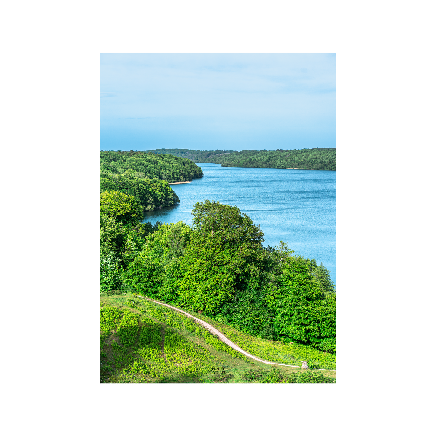 Viborg #3