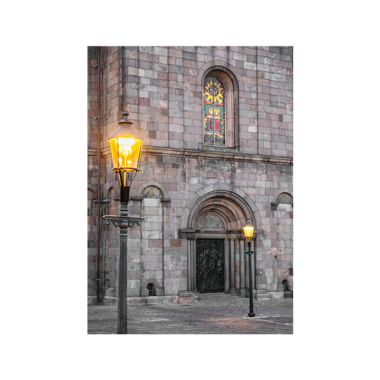 Viborg #4