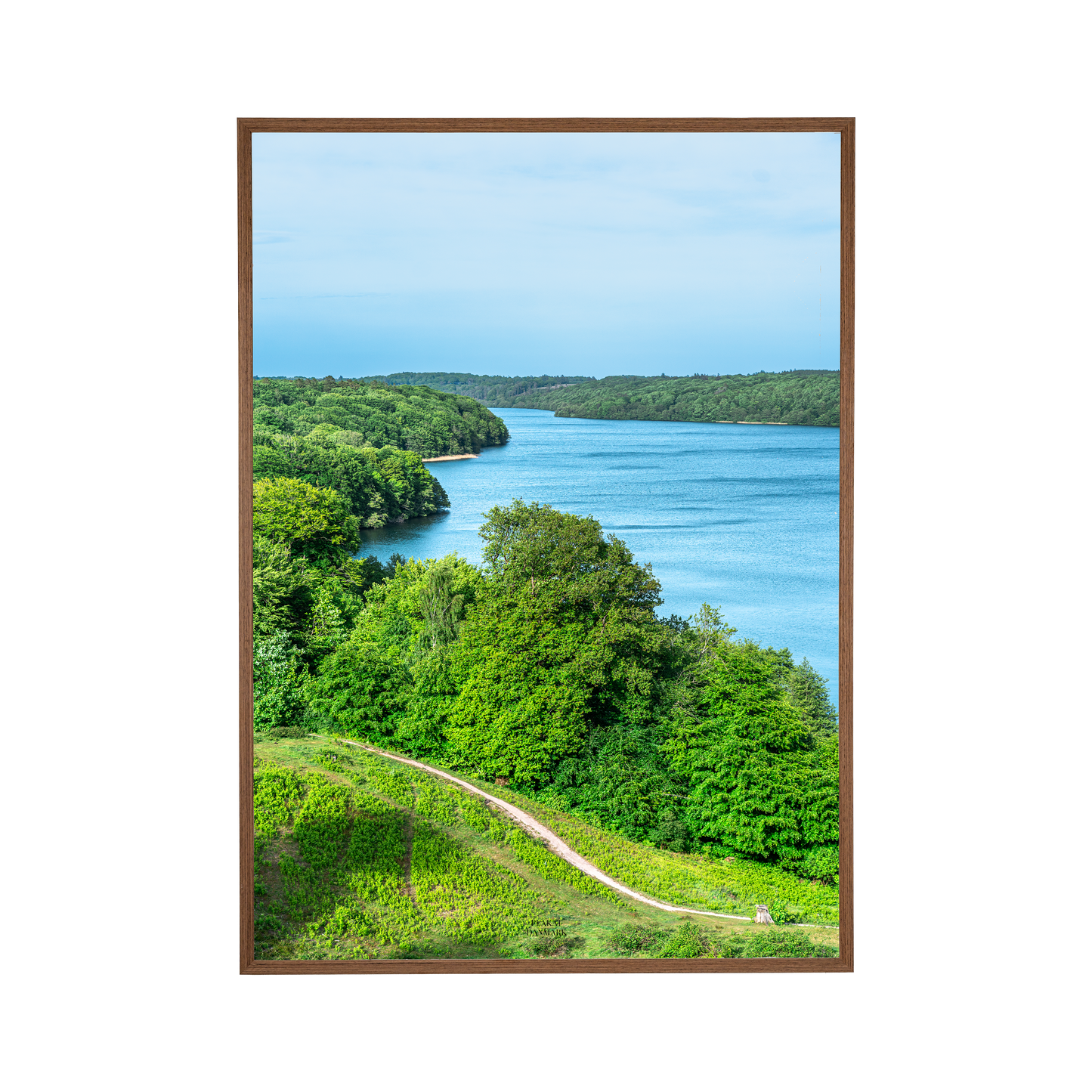 Viborg #3