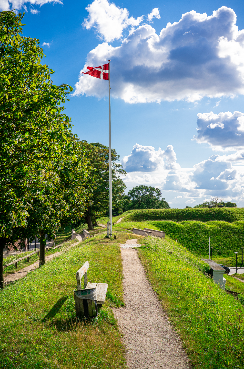 Fredericia Vold - Fotokunst plakat