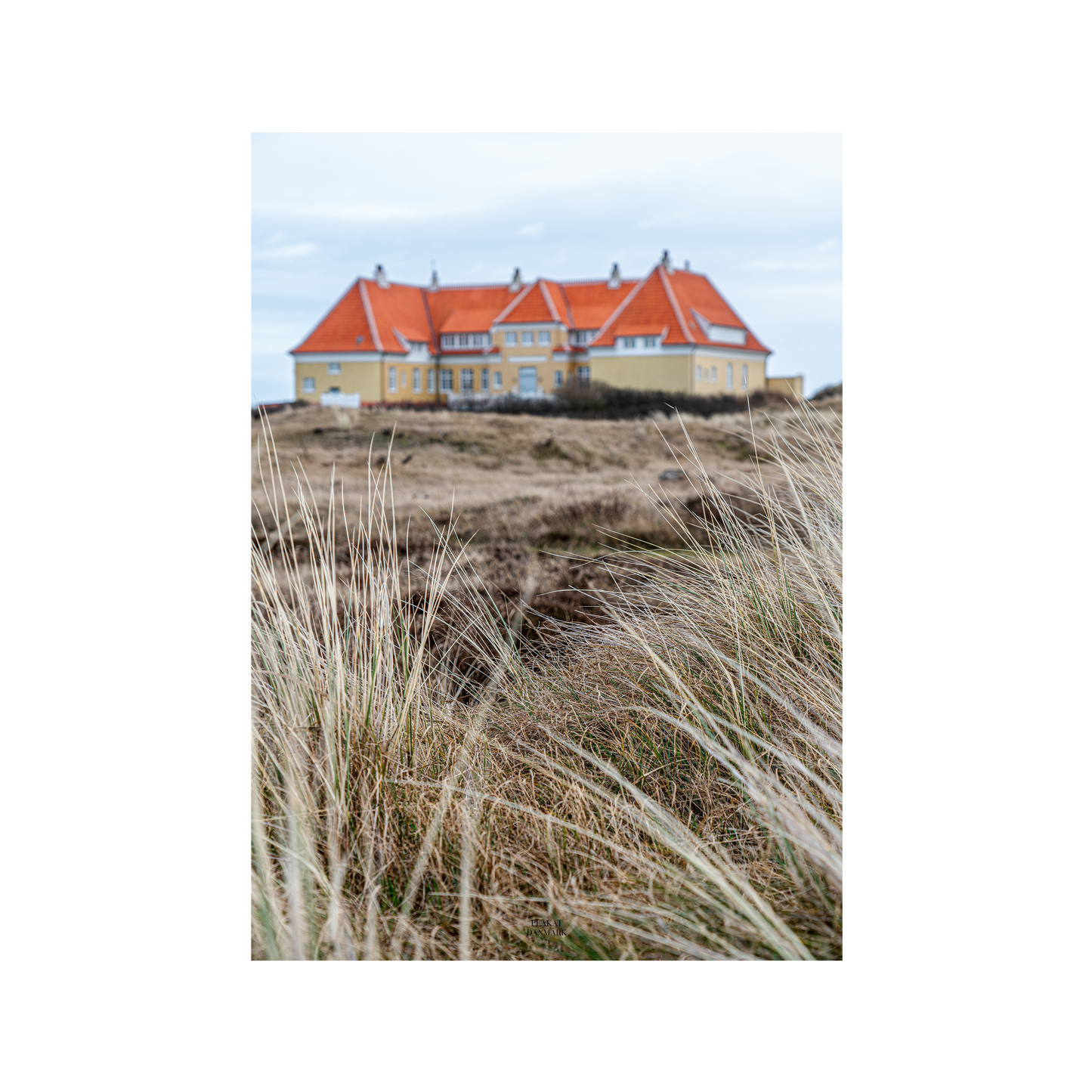 Skagen, Kongevilla #2