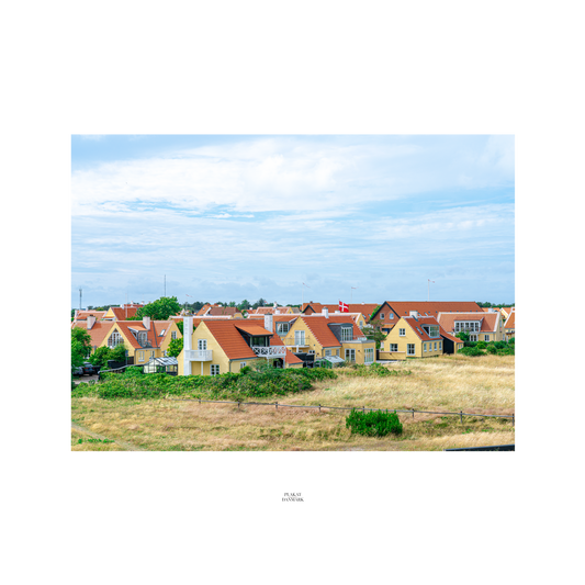 Skagen #1