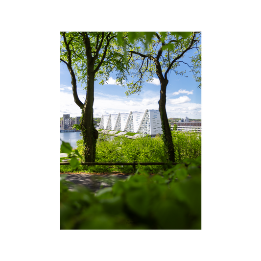 Vejle #2