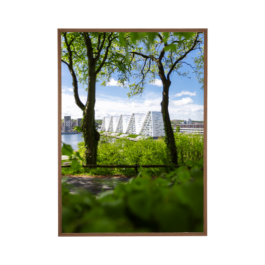 Vejle #2
