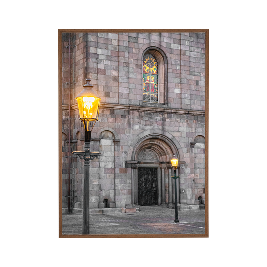 Viborg #4