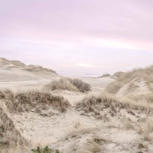 Råbjerg Mile, Lyserrød - Fotokunst - Frederik Karlsen