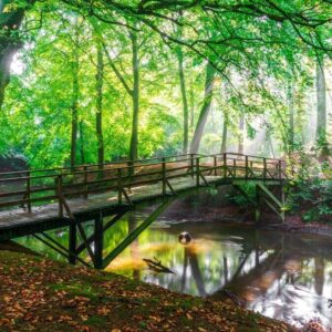 Sæbygaard Skov, Broen ved Skovlyst- Frederik Karlsen